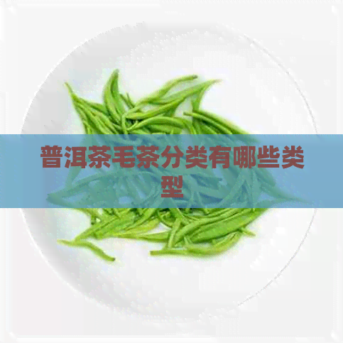 普洱茶毛茶分类有哪些类型