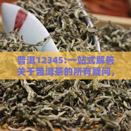 普洱12345:一站式解答关于普洱茶的所有疑问，包括产地、品种、制作方法等