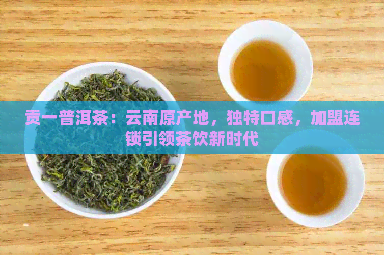 贡一普洱茶：云南原产地，独特口感，加盟连锁引领茶饮新时代