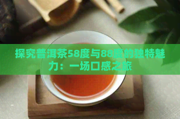 探究普洱茶58度与88度的独特魅力：一场口感之旅