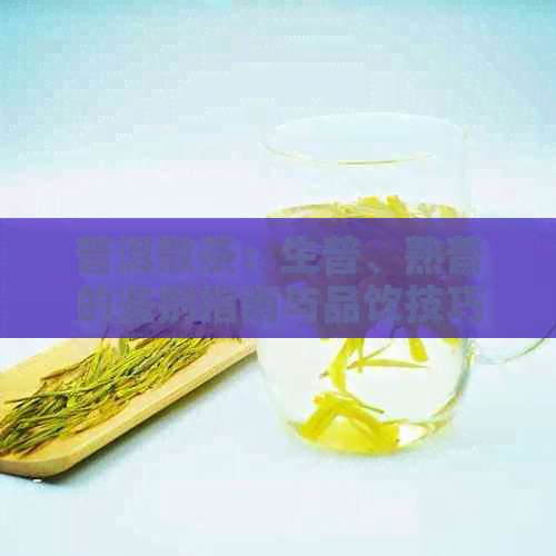 普洱散茶：生普、熟普的鉴别指南与品饮技巧