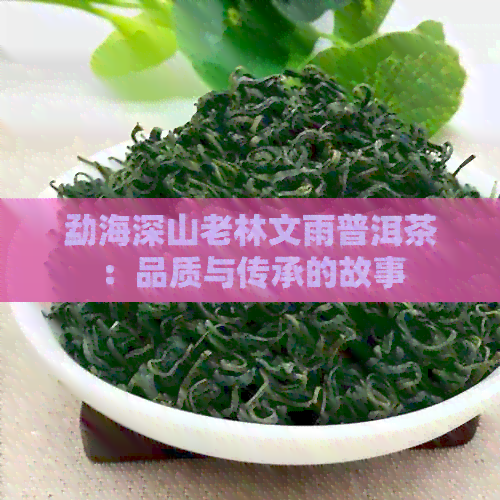 勐海深山老林文雨普洱茶：品质与传承的故事