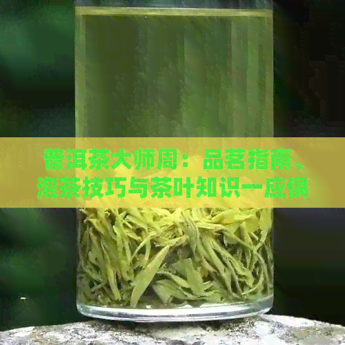 普洱茶大师周：品茗指南、泡茶技巧与茶叶知识一应俱全