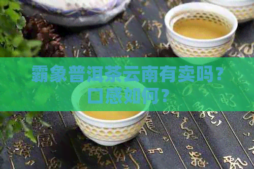 霸象普洱茶云南有卖吗？口感如何？