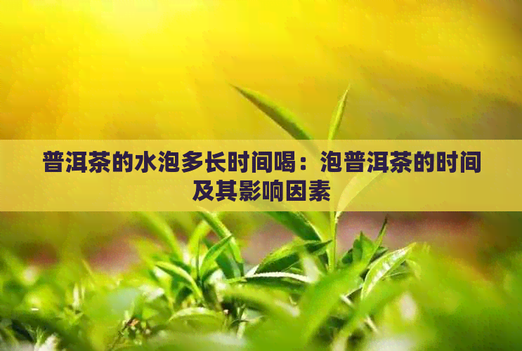 普洱茶的水泡多长时间喝：泡普洱茶的时间及其影响因素