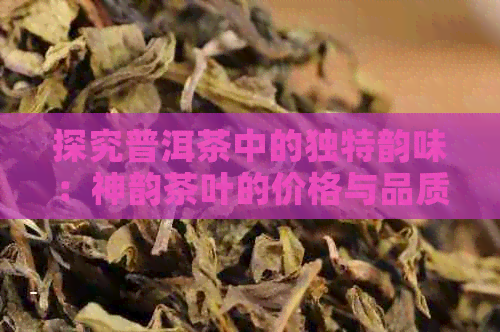 探究普洱茶中的独特韵味：神韵茶叶的价格与品质分析