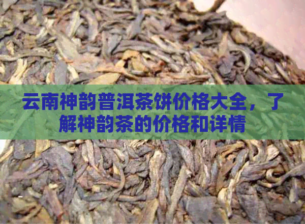 云南神韵普洱茶饼价格大全，了解神韵茶的价格和详情