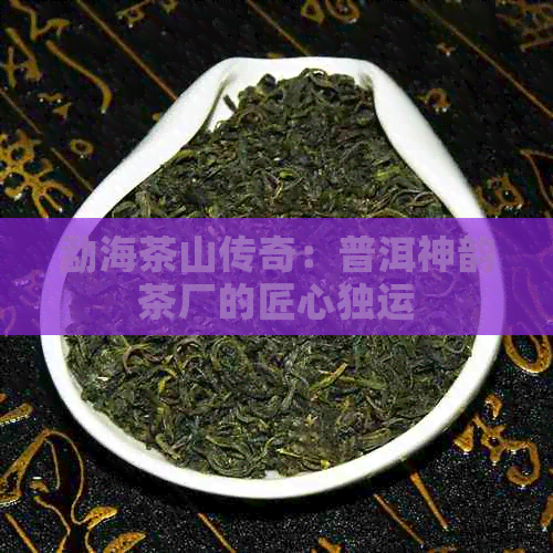 勐海茶山传奇：普洱神韵茶厂的匠心独运