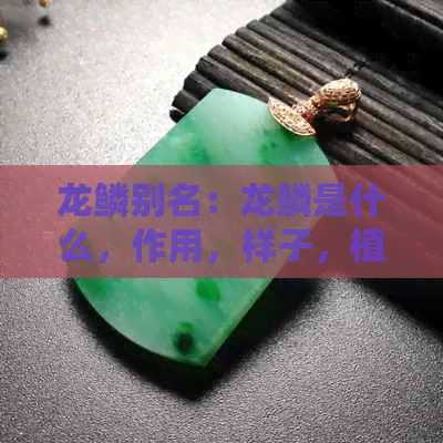 龙鳞别名：龙鳞是什么，作用，样子，植物种类