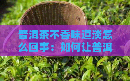 普洱茶不香味道淡怎么回事：如何让普洱茶更香