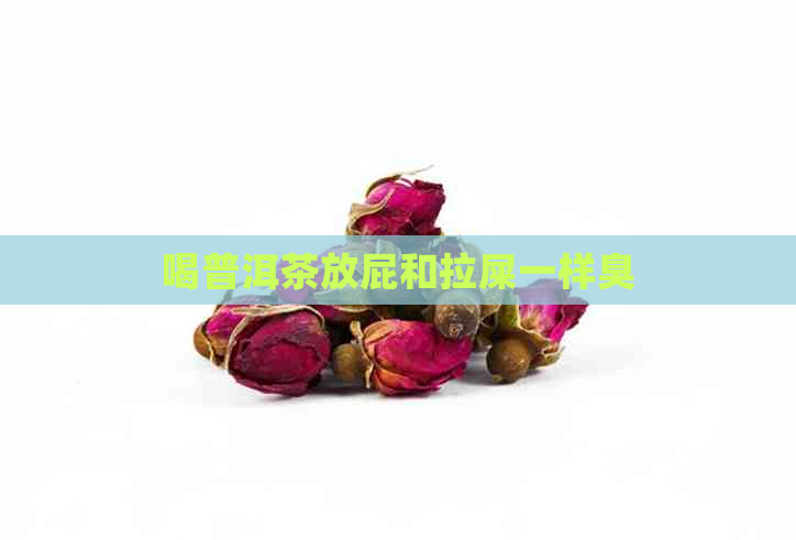 喝普洱茶放屁和拉屎一样臭