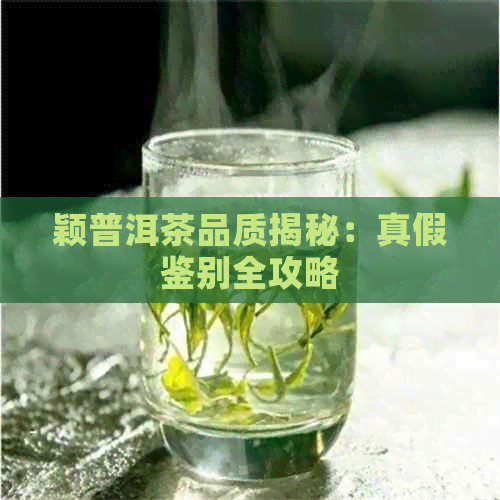 颖普洱茶品质揭秘：真假鉴别全攻略