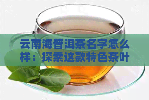 云南海普洱茶名字怎么样：探索这款特色茶叶的魅力