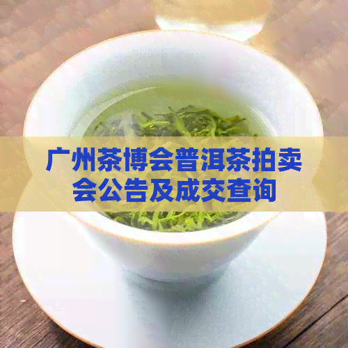 广州茶博会普洱茶拍卖会公告及成交查询