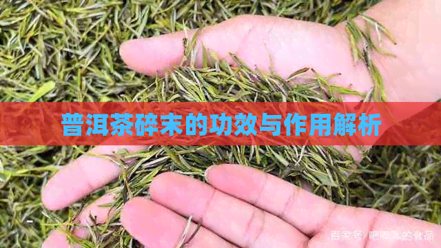 普洱茶碎末的功效与作用解析