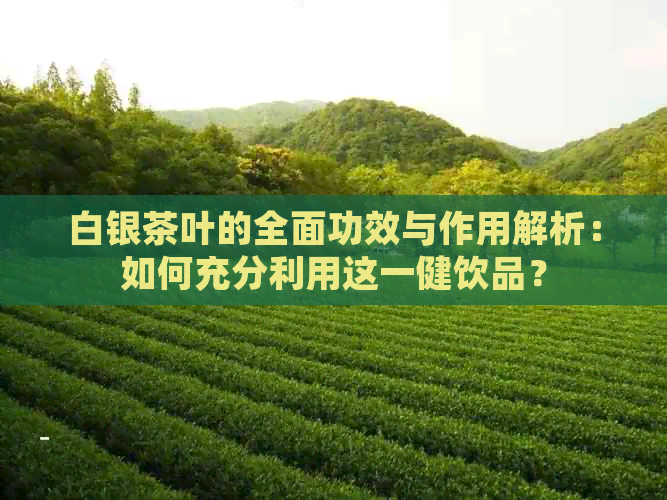 白银茶叶的全面功效与作用解析：如何充分利用这一健饮品？