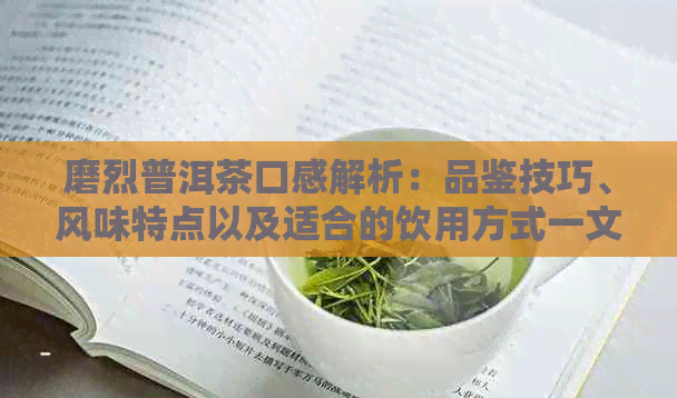 磨烈普洱茶口感解析：品鉴技巧、风味特点以及适合的饮用方式一文详解