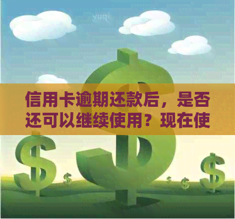 信用卡逾期还款后，是否还可以继续使用？现在使用有何限制？