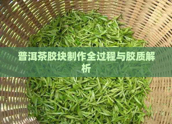 普洱茶胶块制作全过程与胶质解析