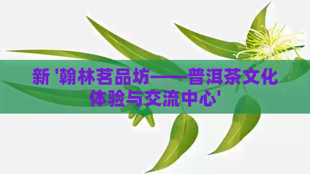 新 '翰林茗品坊——普洱茶文化体验与交流中心'