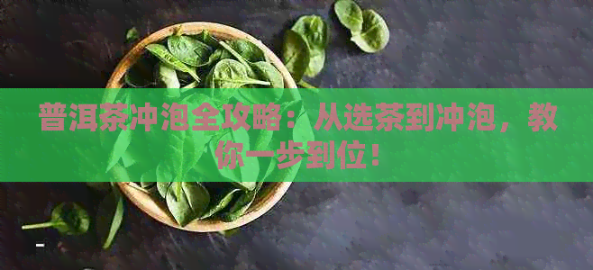 普洱茶冲泡全攻略：从选茶到冲泡，教你一步到位！