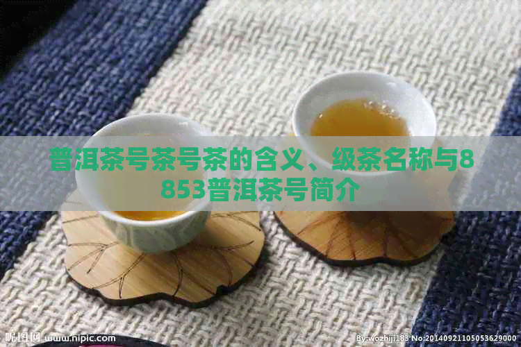 普洱茶号茶号茶的含义、级茶名称与8853普洱茶号简介