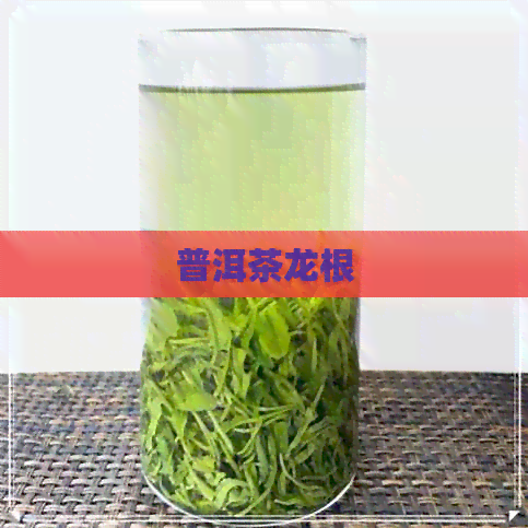 普洱茶龙根