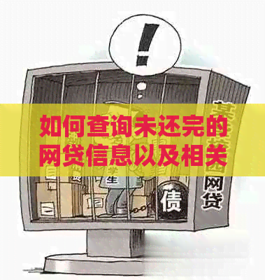 如何查询未还完的网贷信息以及相关还款进度和账户详情？