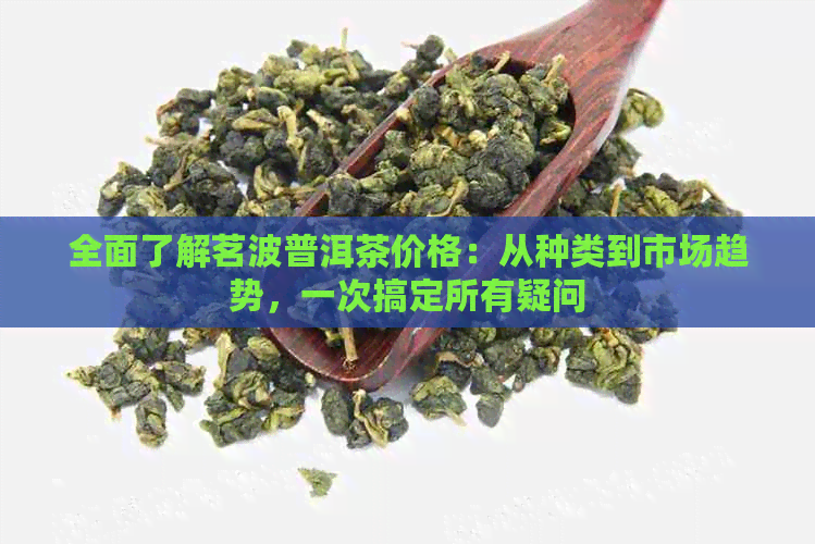 全面了解茗波普洱茶价格：从种类到市场趋势，一次搞定所有疑问