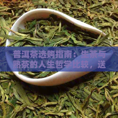 普洱茶选购指南：生茶与熟茶的人生哲学比较，送礼送人哪个更合适？