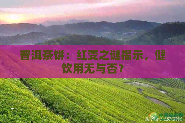 普洱茶饼：红变之谜揭示，健饮用无与否？