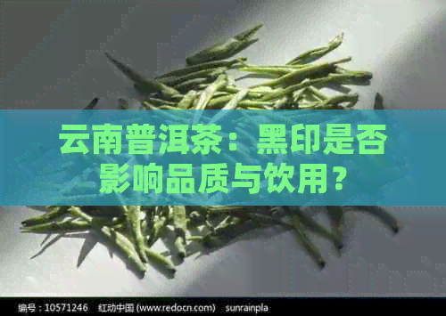 云南普洱茶：黑印是否影响品质与饮用？