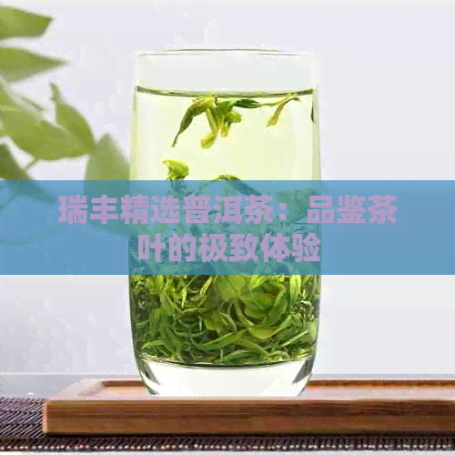 瑞丰精选普洱茶：品鉴茶叶的极致体验