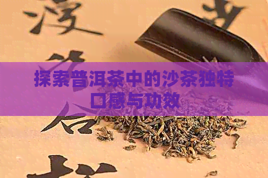 探索普洱茶中的沙茶独特口感与功效