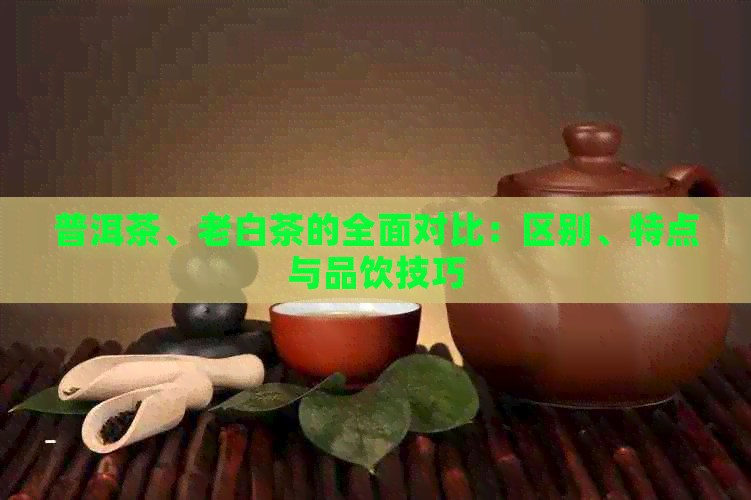 普洱茶、老白茶的全面对比：区别、特点与品饮技巧