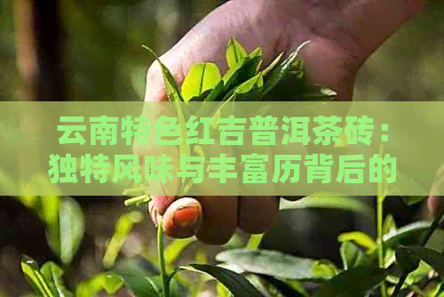 云南特色红吉普洱茶砖：独特风味与丰富历背后的故事