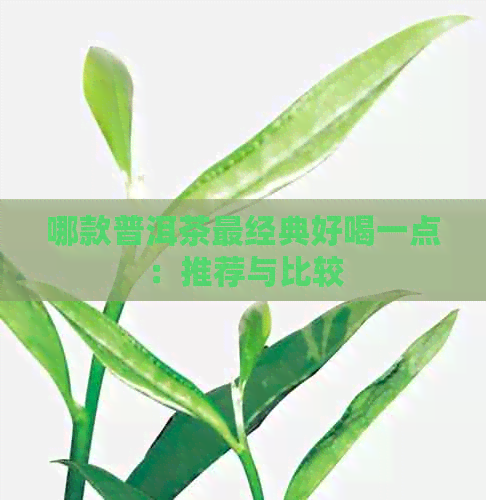 哪款普洱茶最经典好喝一点：推荐与比较