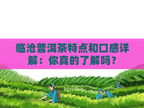 临沧普洱茶特点和口感详解：你真的了解吗？