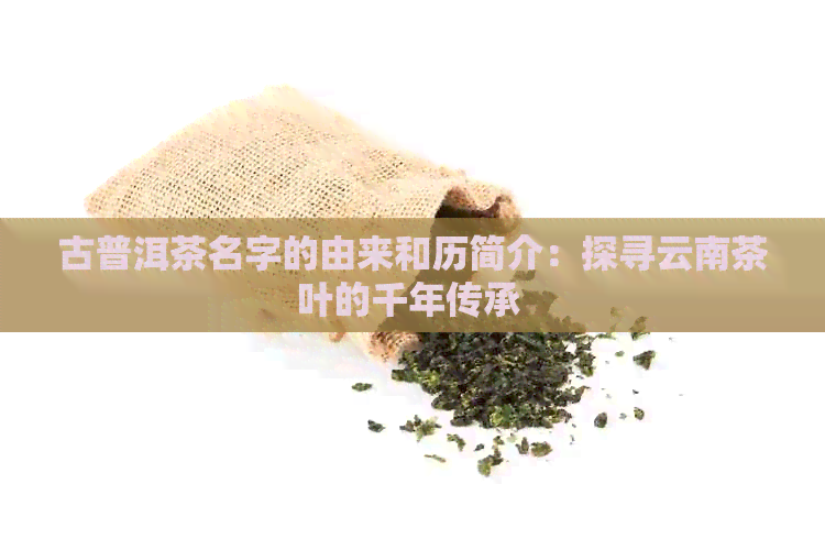 古普洱茶名字的由来和历简介：探寻云南茶叶的千年传承 