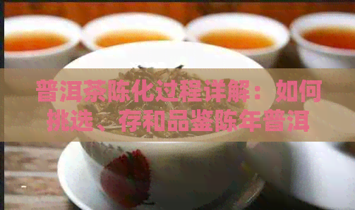 普洱茶陈化过程详解：如何挑选、存和品鉴陈年普洱茶？