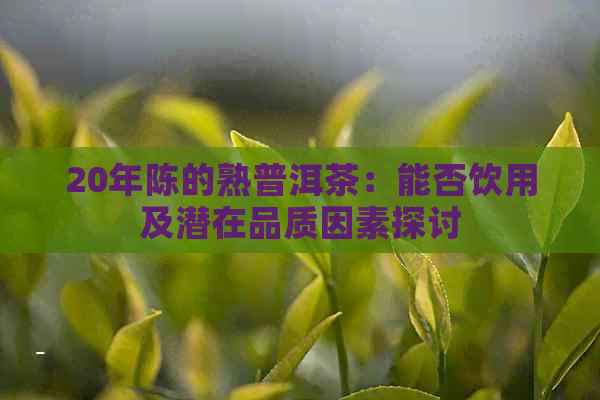 20年陈的熟普洱茶：能否饮用及潜在品质因素探讨