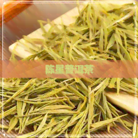 陈星普洱茶