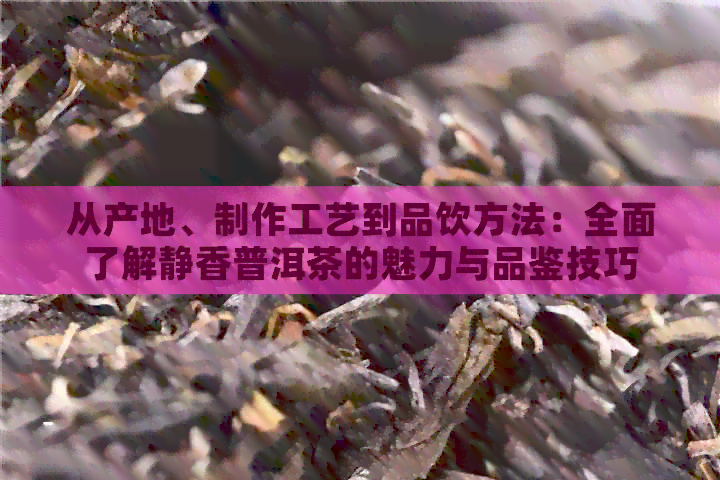 从产地、制作工艺到品饮方法：全面了解静香普洱茶的魅力与品鉴技巧