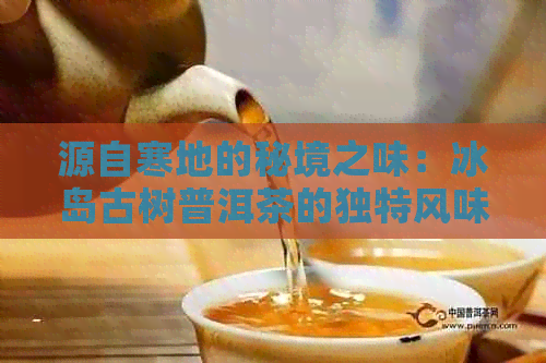 源自寒地的秘境之味：冰岛古树普洱茶的独特风味与珍藏价值