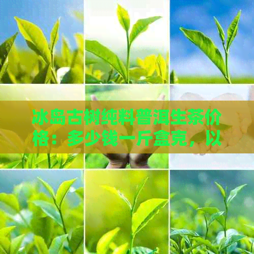 冰岛古树纯料普洱生茶价格：多少钱一斤盒克，以及冰岛古树茶普洱茶的价格