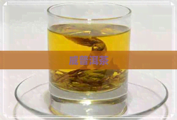 威普洱茶