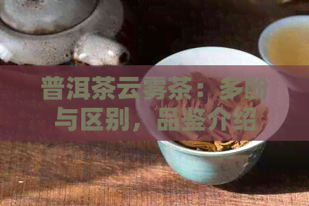 普洱茶云雾茶：多酚与区别，品鉴介绍