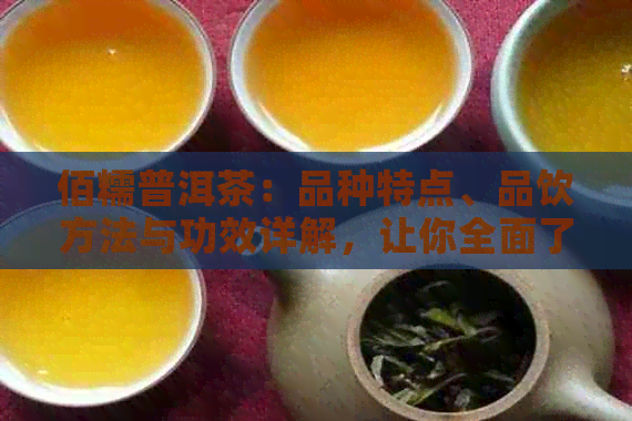 佰糯普洱茶：品种特点、品饮方法与功效详解，让你全面了解普洱茶的一切