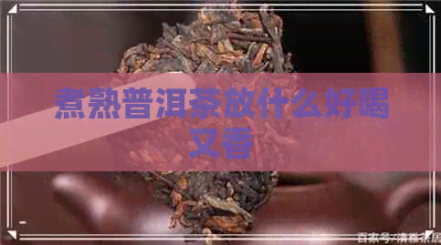 煮熟普洱茶放什么好喝又香