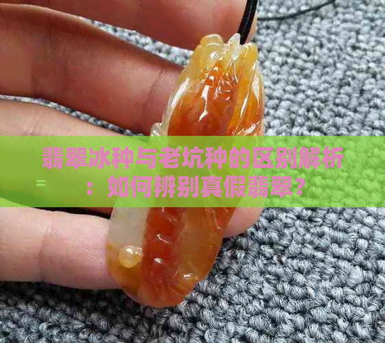 翡翠冰种与老坑种的区别解析：如何辨别真假翡翠？